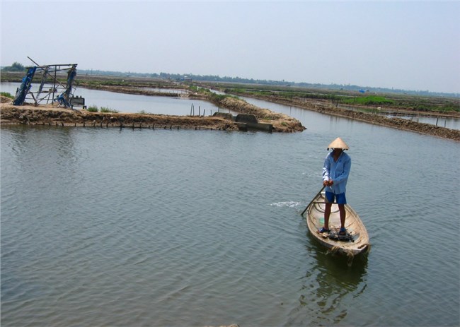 Thừa Thiên Huế: Phát triển hệ đầm phá Tam Giang - Cầu Hai trở thành “Công viên đầm phá Quốc gia” (28/3/2023)